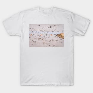 Disorderly Conduct of Birds by Debra Martz T-Shirt